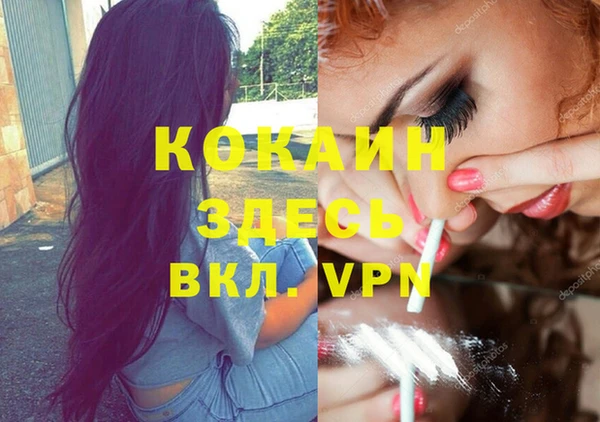 стафф Алзамай