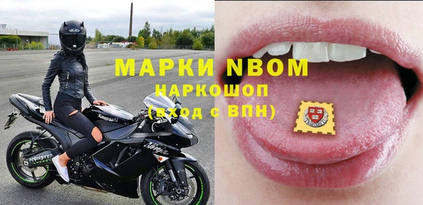стафф Алзамай