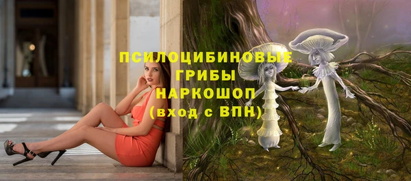Альфа ПВП Алексин