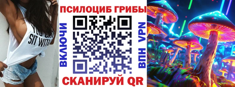 mega онион  Томилино  Галлюциногенные грибы мицелий 