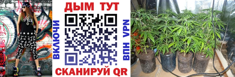 Конопля гибрид  купить наркоту  OMG ссылки  Томилино 